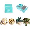 Crochet Flower Set with Step-by-Step Tutorial Instruction Crochet Potted Plant Crochet Knitting Supplies for Beginner