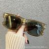 2026 Classic European & American Women's Acetate Square Sunglasses - Ins Style