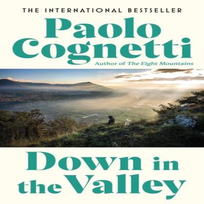 Down In the Valley by Paolo Cognetti Paperback Book 9781787304994