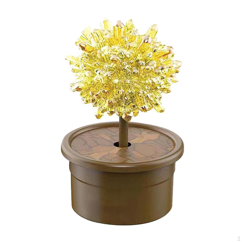 Crystal Growing Kit Educational Toy Science Project Experiments Kits for