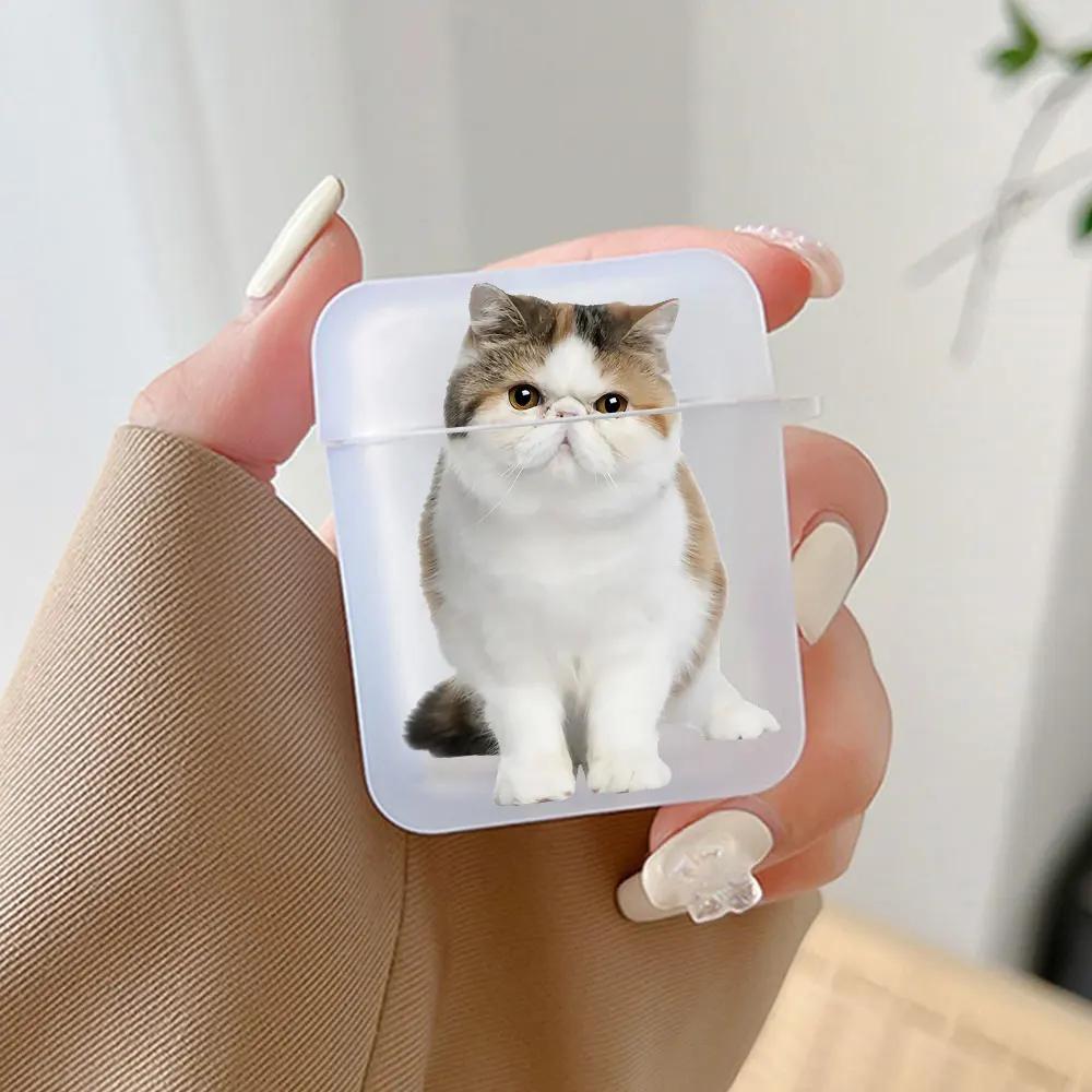 Cute Animal Cat Earphone Case for Airpods 4th 3rd Pro 3 2 Shockproof Covers for Airpod 2 3 1 Protective Accessorie Shell Fundas