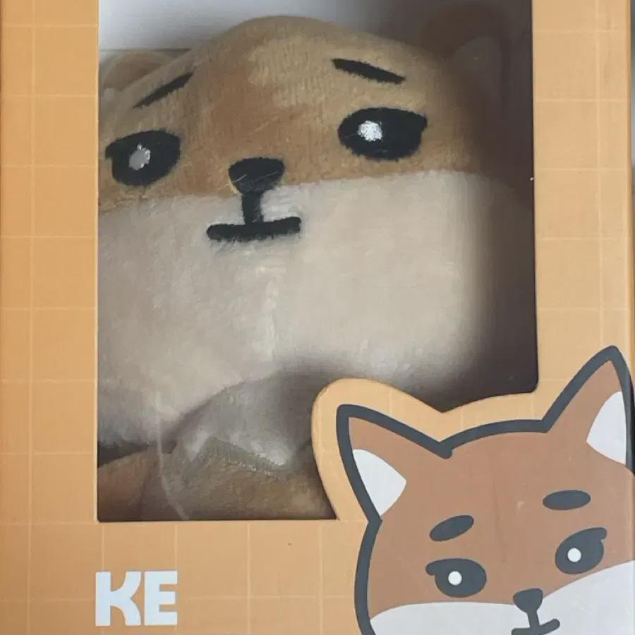 

Day6 Denimals 2020 K