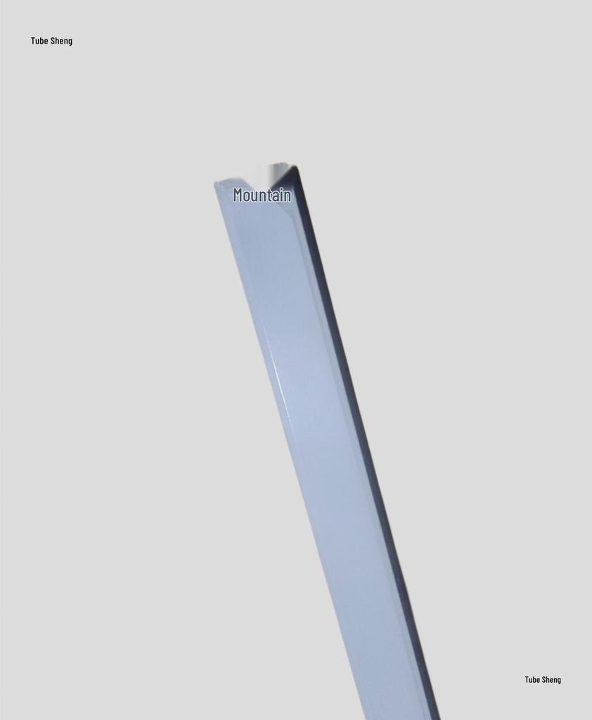 T5 LED Bracket 1.2m: Single/Double Flat With/without Cover.