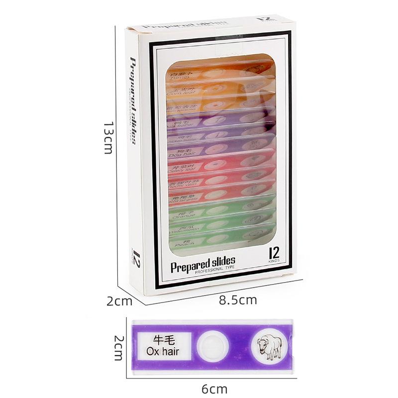 Children'S Microscope Animal Plant Insect Fruit And Vegetable 12Pcs Biological Specimen Set Scientific Experiment Toy Accessories