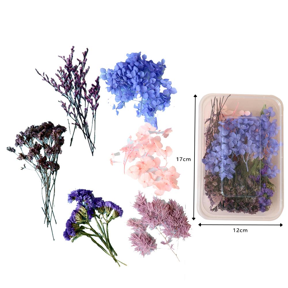 Naturalne kolorowe suszone kwiaty Diy rzemiosło pakiet materiałów na świeca zapachowa ręcznie girlanda ramka na zdjęcia Scrapbooking tworzenie kartek