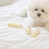 Dingdok Bone - Latex Crackling Toy