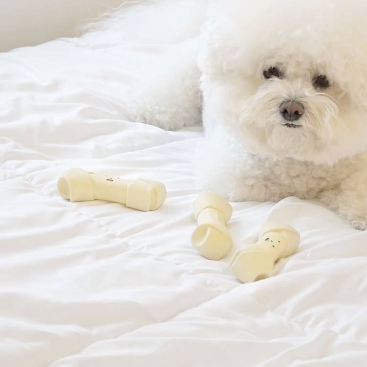 Dingdok Bone - Latex Crackling Toy