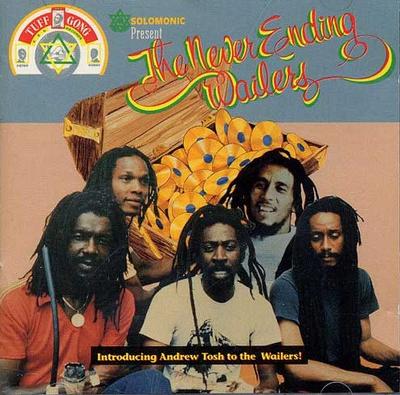 CD WAILERS - The Never Ending Wailers 29491 Déclic Communic 1993 France Reggae, Ska & Dub Used