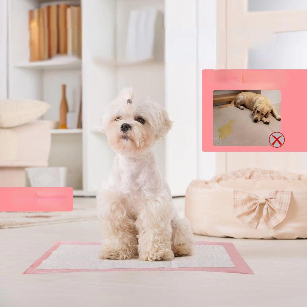100PCS Thickened Dog Training Pee Pad Super Absorbent Diaper Mats Pet Cushion  Toddler
