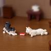 1PC Mini Pet Cats Action Figures Toys Miniature Landscape Ornament Dollhouse Home Decoration