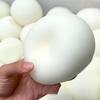Soft Bun Squishy Ball TPR Material Sensory Fidget Toy Novelty Slow Rising Ball  Kid Adults