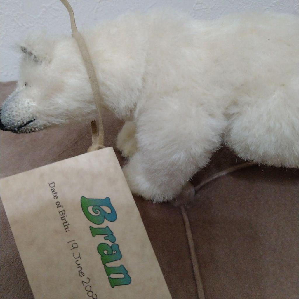 [USED] Teddy bear (polar bear) by Japanese artist