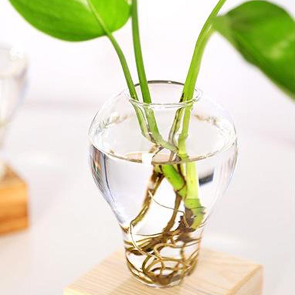 Retro Style Pear Vases w/Wooden Stand Decorative Hydroponic Planter Home Decor