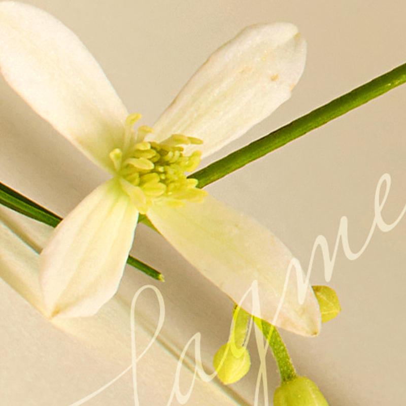 [UIQ] Tag Me Biome Hand Cream 30ml