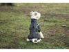 Medium & Small Dog Raincoat with Leash Hole - Waterproof & Reflective Puppy Jacket