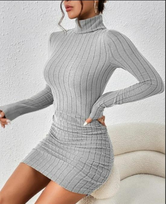 

2024 Autumn Winter High Neck Ribbed Bodycon Short Dress for Women L