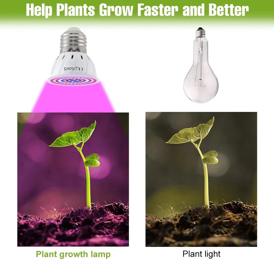 E27 LED Plant Grow Lights GU10 220v Full Spectrum Indoor Hydroponics Flower Seeds Promote Growth Vegetables Cultivation LampE14