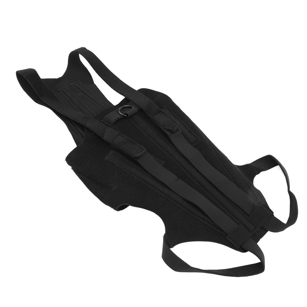 Dog Back Bracer Polyester Strong Rigidity Flexible Back Supporting Vest for Walking