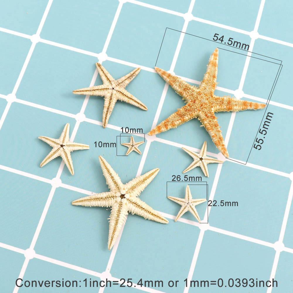 Decoration DIY Crafts Mixed Starfish-Natural Handmade Accessories Seashells Starfish Ocean Decor