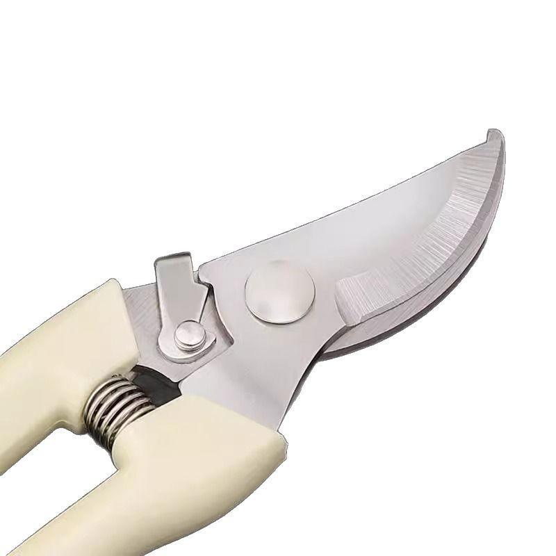 Gartenschere für Obstbäume, Blumen und Veredelung