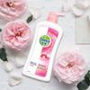 Dettol Healthy Feuchtigkeitsspendendes Duschgel