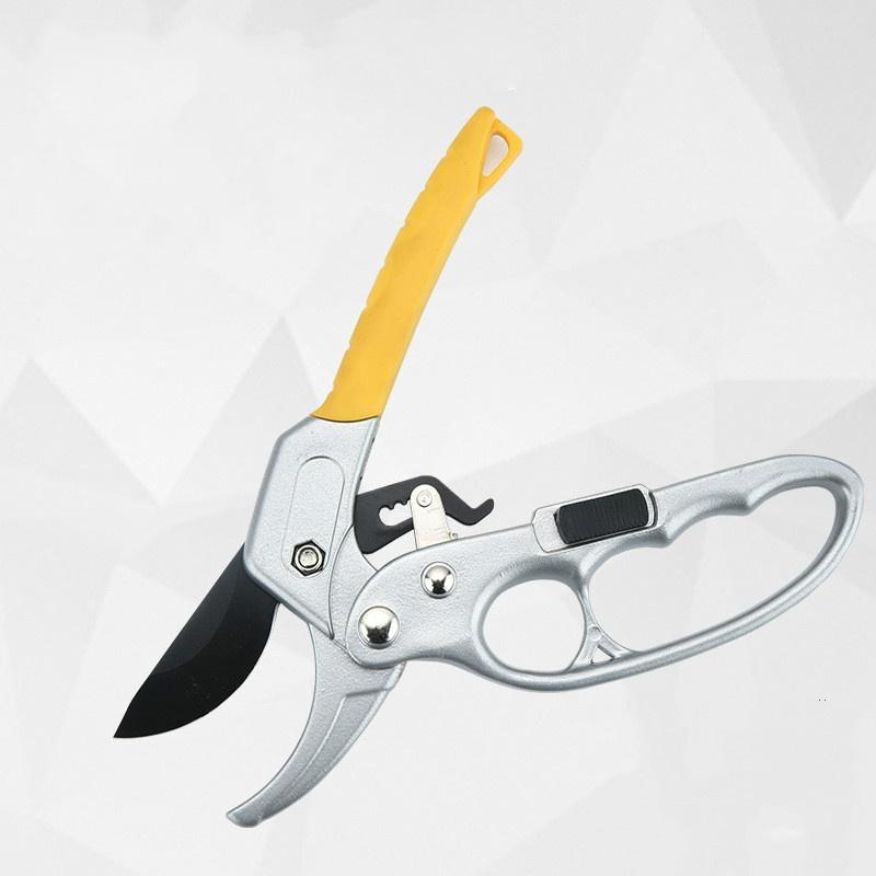 Buy Branch Scissors Segmented Gardening Pruning Flower Branch Scissors ...