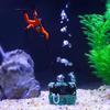 Aquarium landscaping and decoration treasure box