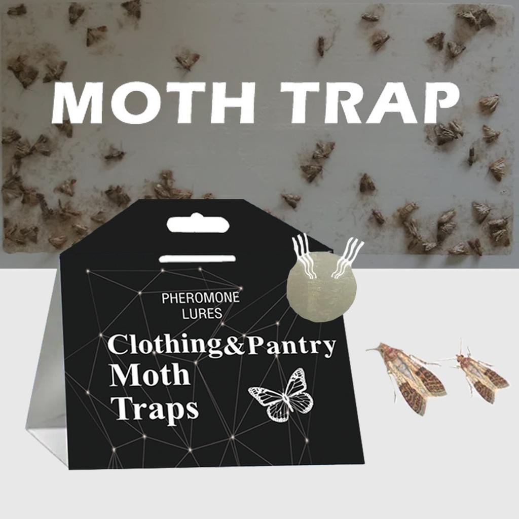 Pièges à mites alimentaires Sûrs et efficaces pour la nourriture et les vêtements - Pièges à colle avec phéromones pour placard à laine Tapis Nourriture et Placard