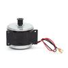 MY1016 Little Dolphin 24V 300W Electric Vehicle Synchronous Brushed Motor