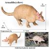 Oenux Wild Animals Simulation AArdvark Anteater Armadillo Pangolin Ant Natural Enemy Figurines PVC Model Collection Kid Toy Gift