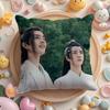 W-Wang Y-Yibo Pillow Case Soft Plush Fabric Double-Sided Printed Cushion Cover Warm Winter Sofa Pillow Case