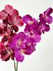 Artificial Vanda Orchid Flowers Real Touch Fake Orchid Folral Arrangement  Realistic Decorative Vanda Flower