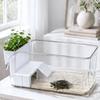 Turtle Basking Tank Scenic Layout Aquarium Easy To Clean Small Reptile for Home