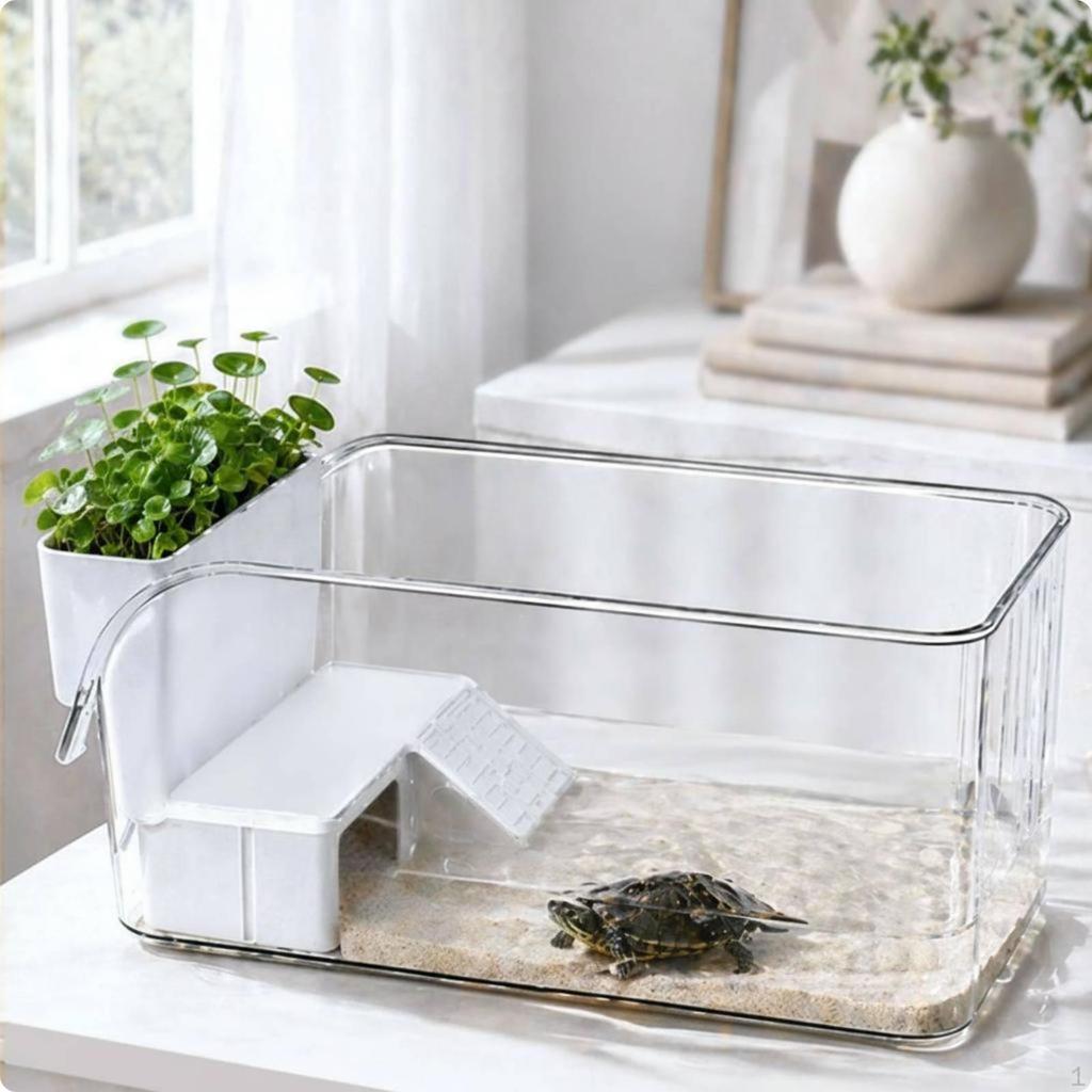 Turtle Basking Tank Scenic Layout Aquarium Easy To Clean Small Reptile for Home