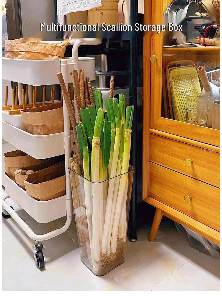 Large Capacity Transparent Kitchen Organizer for Scallions, Yams, Ginger, and Garlic