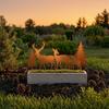 Durable Iron Garden Decor 5Pcs/Set Forest Deers Stakes, Rusty Christmas Tree Elk Family Vintage Style Yard Stakes Outdoor Metal Art Ornaments for Lawn