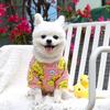 Yousheng Pet Cloth Eye-Catching Adorable Decorating Dog Pajamas Small Warm Puppy Outfit for Outdoor