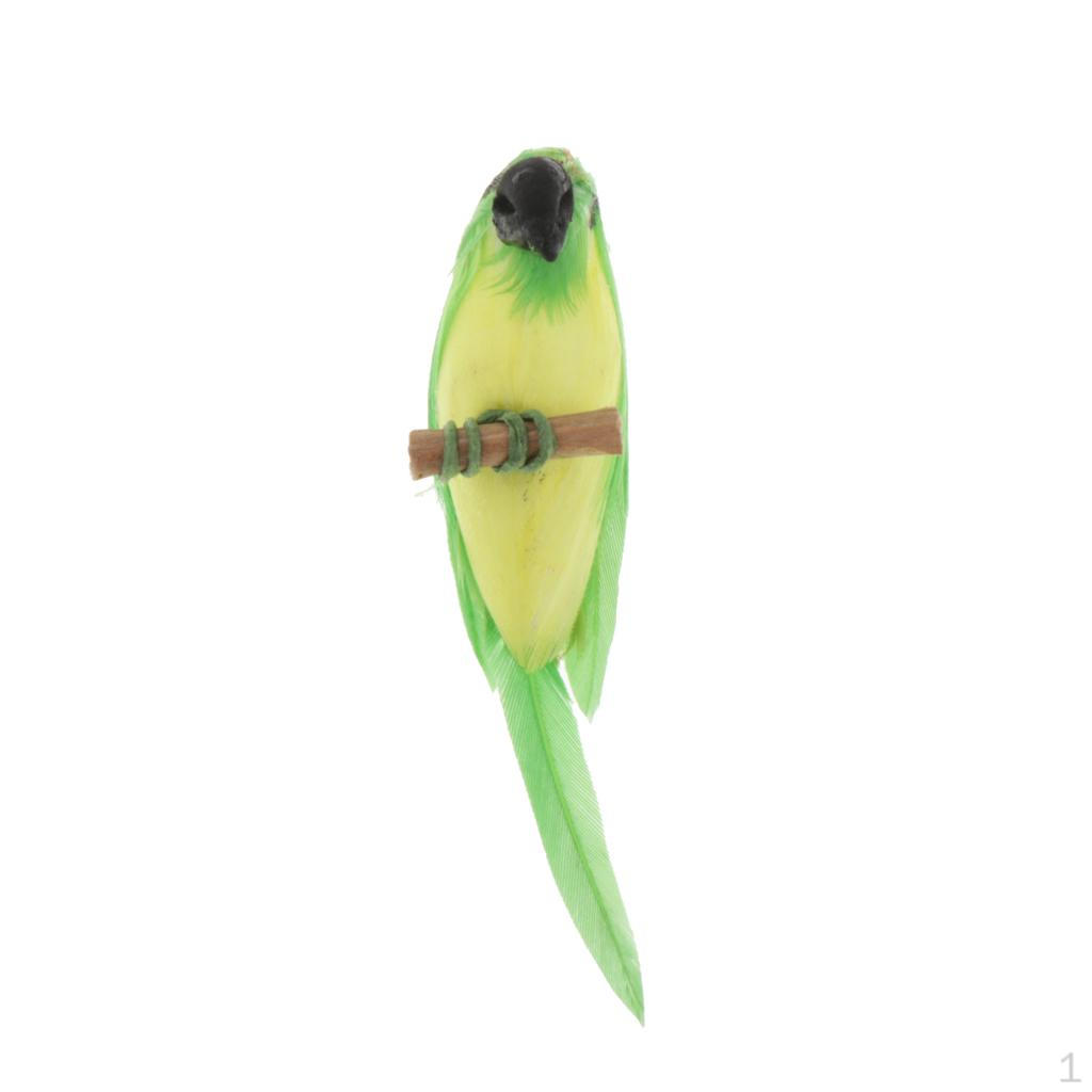 Parrots :12 Dollhouse Miniature Garden Scenes Accessory