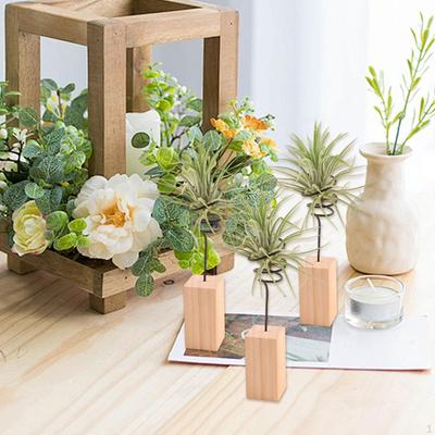 3 Stück Luftpflanzenhalter Desktop-Dekor Dekorative Zubehörteile, Ornament Einfacher Ausstellungsständer