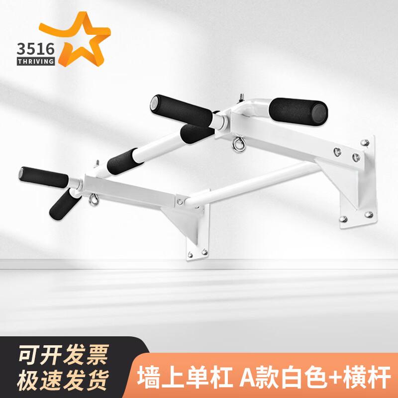 

3516 Wall-Mounted Pull-up Bar & Dip Station