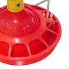 Automatic Chicken Drinker, Coop Accessories, Poultry Drinker for