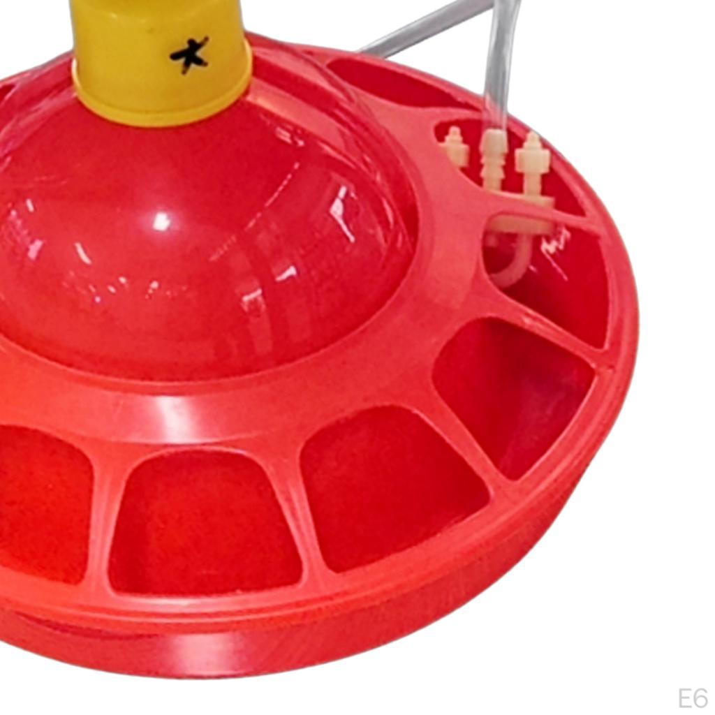 Automatic Chicken Drinker, Coop Accessories, Poultry Drinker for