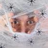 Halloween Dekorationer Kunstig Spindelvæv Strækbart Spindelvæv Skræmmende Fest Halloween Dekoration til Bar Hjemsøgt Hus Scene Rekvisitter
