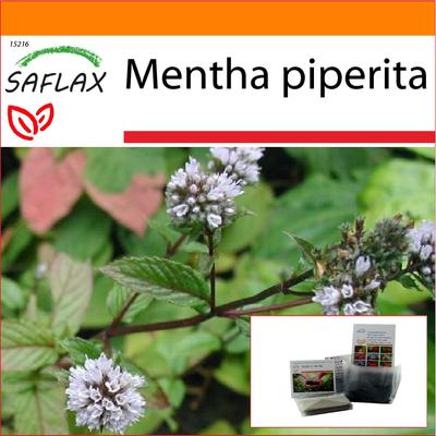 Garden In the Bag - Peppermint - 300 Seeds - With Substrate In a Fitting Stand Up Bag - Mentha Piperita