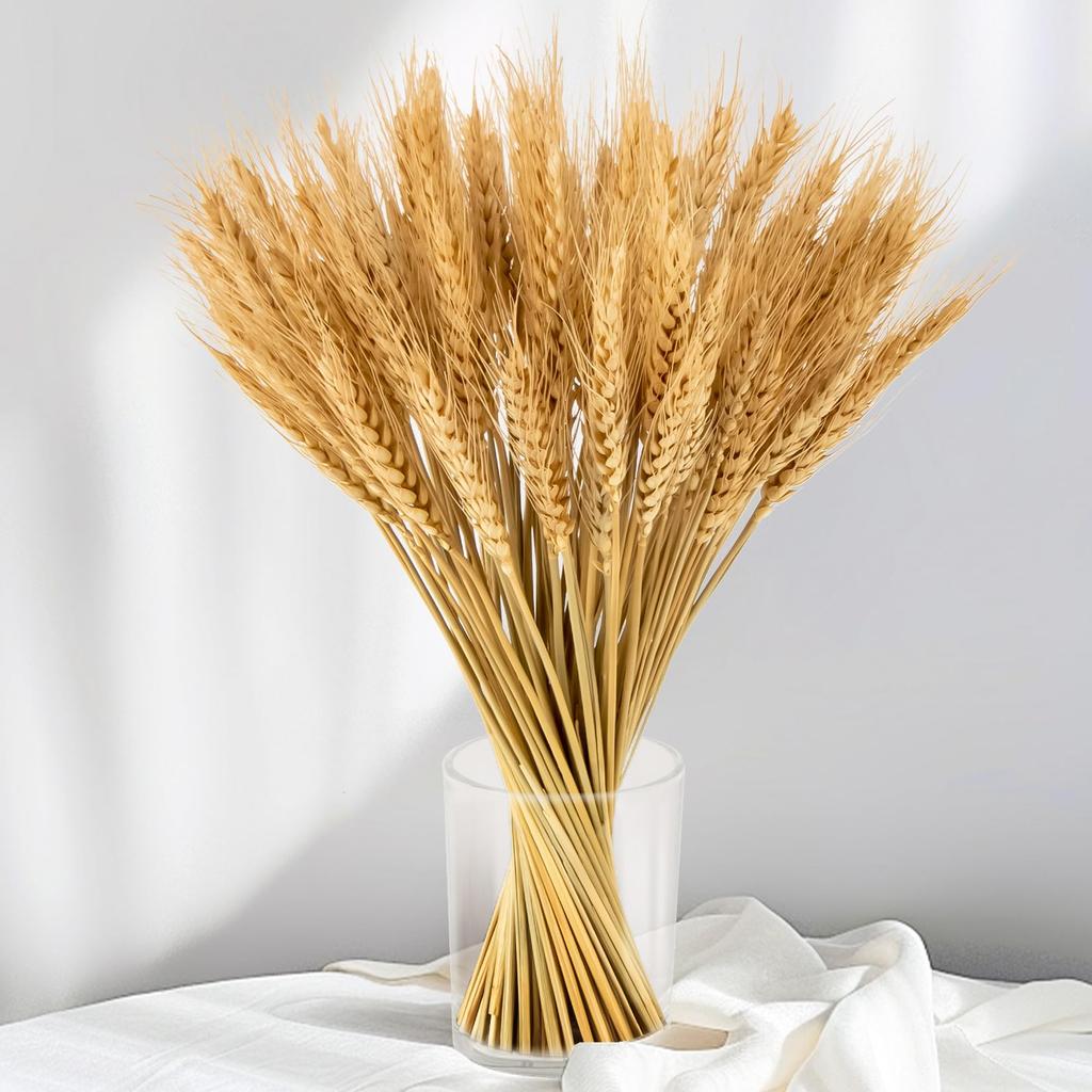100 Pcs Dried Wheat Stalks for Decor, Sheaves Grass Natural Bunch Flowers Home Wedding Table Kitchen Boho Farmhouse Fall Arrangement DIY Decoration