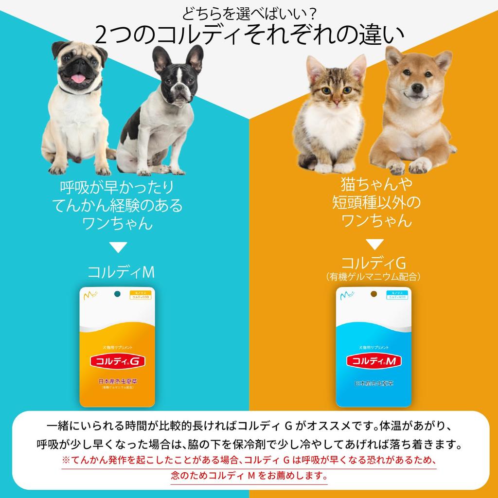 Cordy G 100g Suplement Wspomagający Odporność Krajowy Cordyceps Sinensis Ulotka w Zestawie Pies/Kot