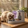Comedouro Automático para Animais de Estimação, Tigela para Gatos e Dispensador de Água Dois em Um, Tigela para Cães, Tigela para Animais de Estimação, Alimentador de Água, Anti-Derrame