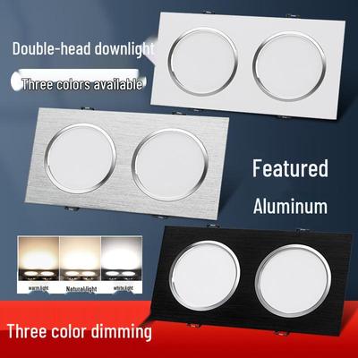 Double Head LED Recessed Ceiling Spotlight