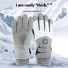1Pair Autumn And Winter Women'S Gloves Touch Screen Windproof And Warm Riding Snow Play Men'S And Women'S Warm Gloves