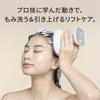 Panasonic Scalp Esthetic Lift Mode Close Contact Kneading Brush Stretch Brush 3 Speed Levels Silver EH-HE0J-S